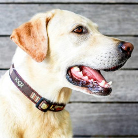 Rogz Armed Response Нашийник за кучета с обиколка на врата 43-70 см в цвят деним